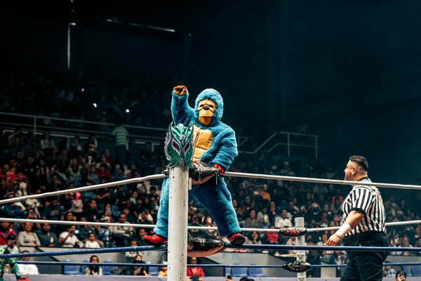 L'importance de la flexibilité en arts martiaux : exercices et routines d'étirement